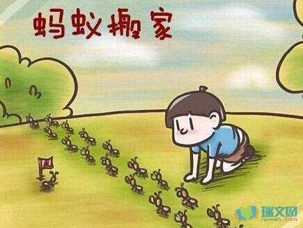 蚂蚁生气组成