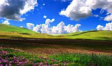 美丽的若尔盖大草原