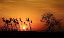 值得回忆的往事