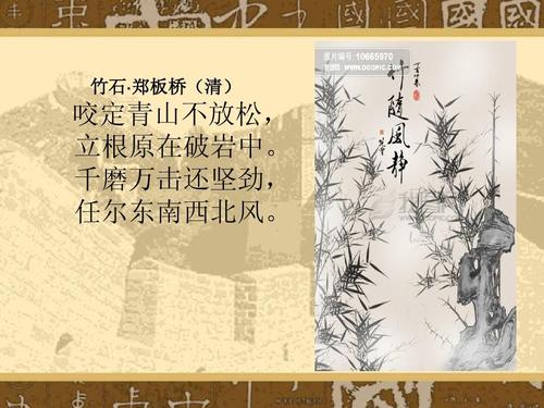 我喜欢粗砂竹