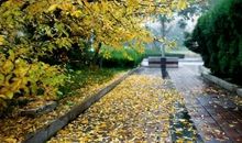 走不出去的秋天