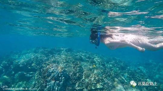 在夏威夷浮潜