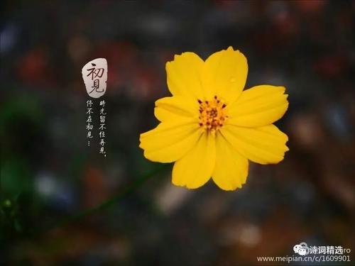 那一刻，我收获了幸福