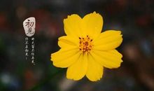 那一刻，我收获了快乐