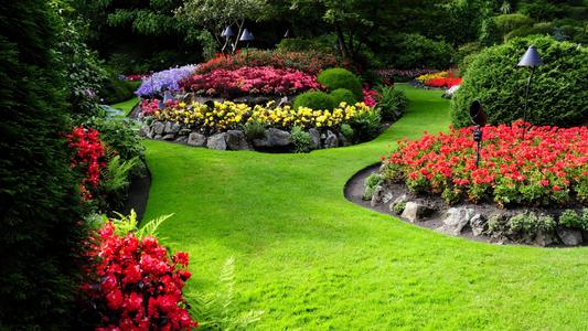 花园里的美景