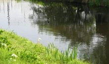 原来春天就在我身边