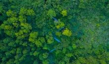 叮咛在我心中荡漾