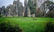 感受自然的时光最好