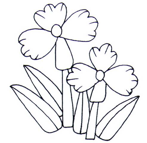 我学会画兰花