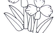 我学会了画兰花