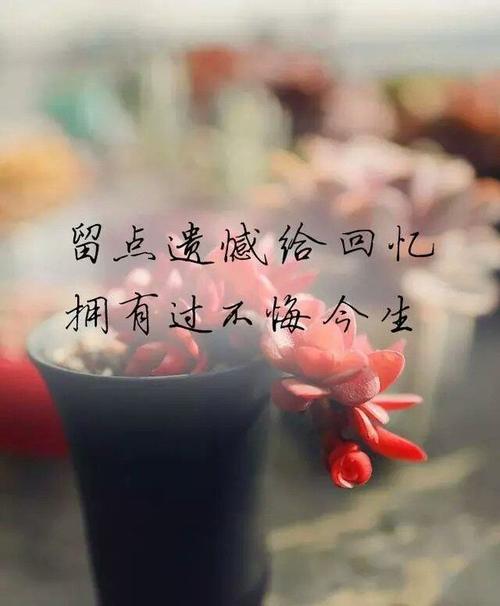 遗憾的记忆