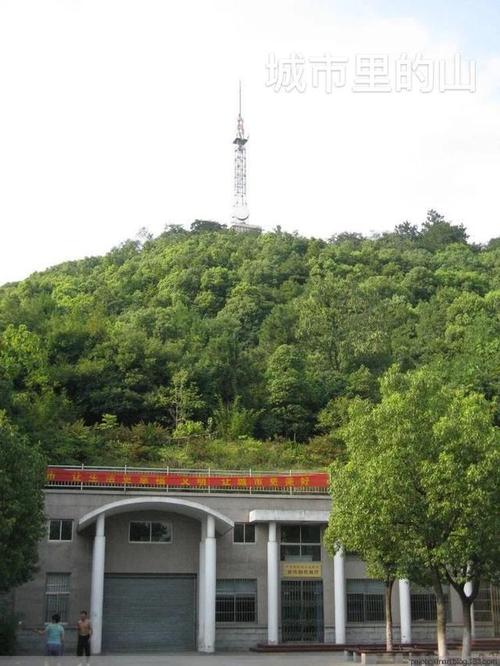 灵魂消极成分