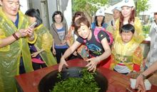 第一次体验制茶的乐趣