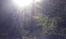 大自然触动了我的心灵