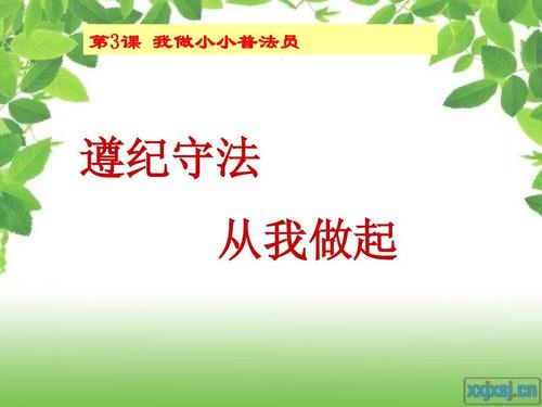 关于遵守纪律和法律的思考