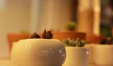 守住自我展望远方