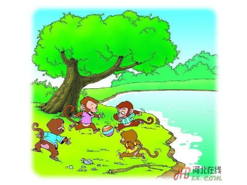 在公园玩