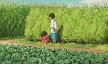 平凡更是一种美丽