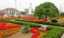 校园里的小花坛