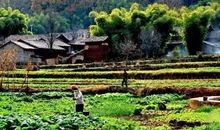 愉快的乡村生活