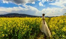 乡愁是片油菜花