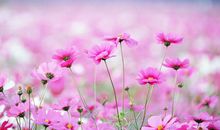 驻足在心中的平凡事