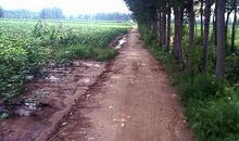 我家门口的小路