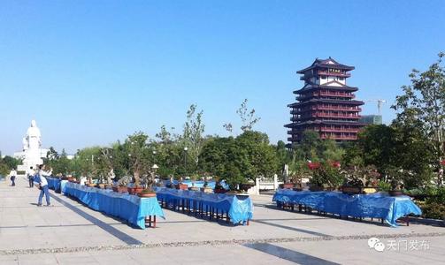 美丽的鹿屿广场