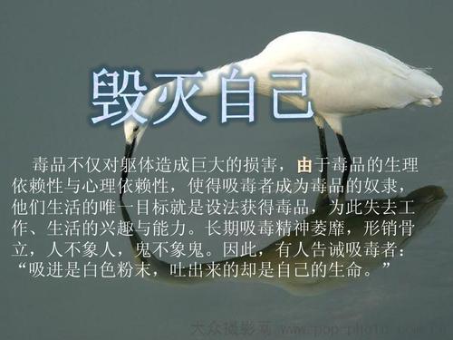 珍惜生命就是爱