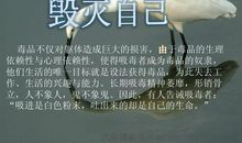 珍惜生命，就是爱