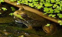 生活中的微镜头