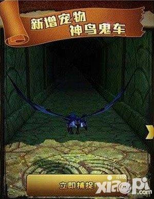 神鸟新版