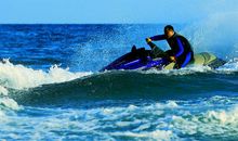 大海中的小精灵