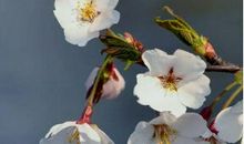 这样的你怎不叫人心生敬意