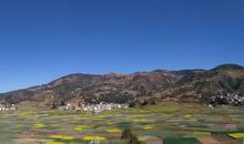 春暖·童年·刺激