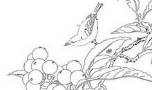 白描是一种力量