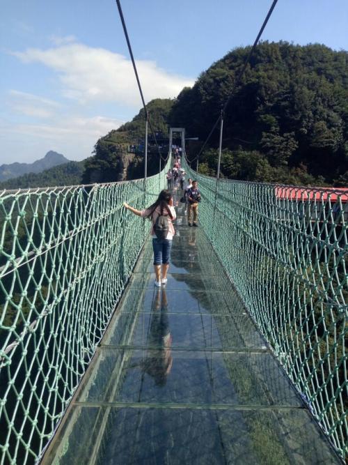 游奥陶纪