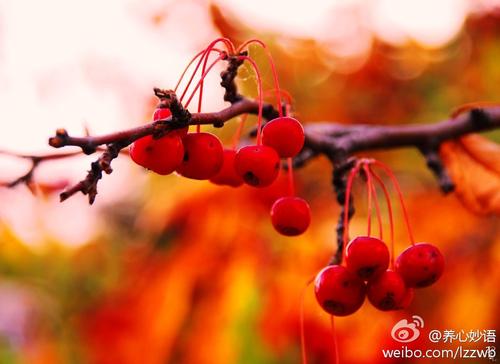 痛苦也是一种成长