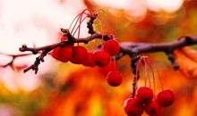 痛也是一种成长