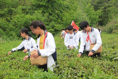 游童游谷