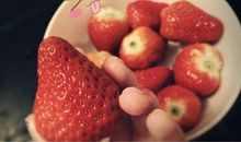 吃草莓