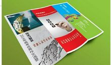 继承与创新作文高中