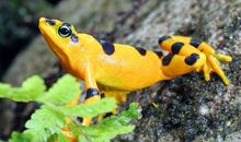 眼见未必是真相