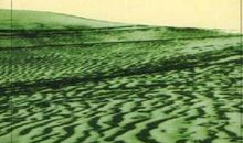 读《平凡的世界》有感