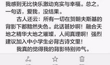 以背影为主题的作文