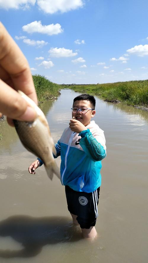 抓鱼