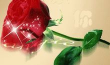 生命中有你，真好