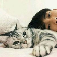 我想要一只小猫