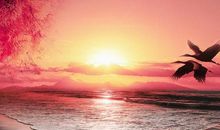 有你们，就有风景