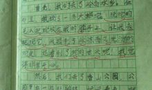 做手工作文二年级